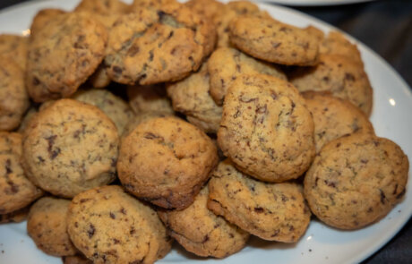 2025 – Estrela da Manhã – Marcelo Caetano